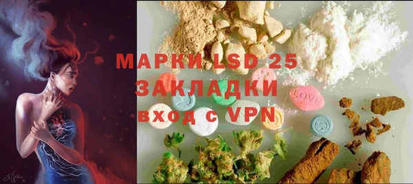 спиды Аркадак