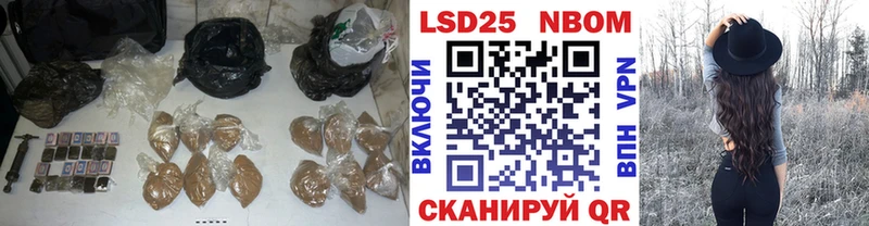 где купить наркоту  Нея  LSD-25 экстази кислота 